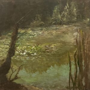 Forest pond with surrounding trees and foliage.