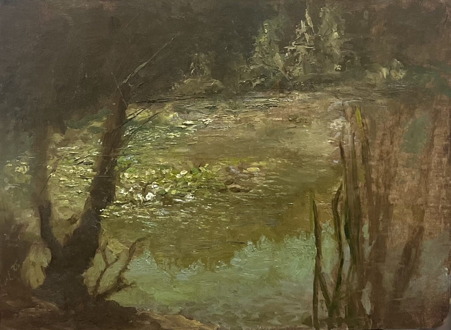Forest pond with surrounding trees and foliage.